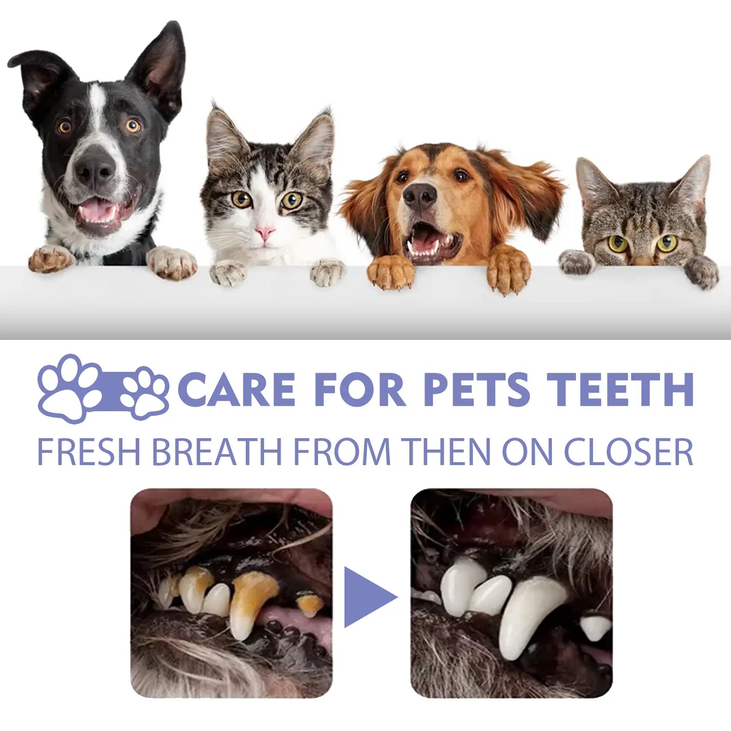 Vitrune™ 🍃No-Brushing Oral Care Spray for Dogs & Cats