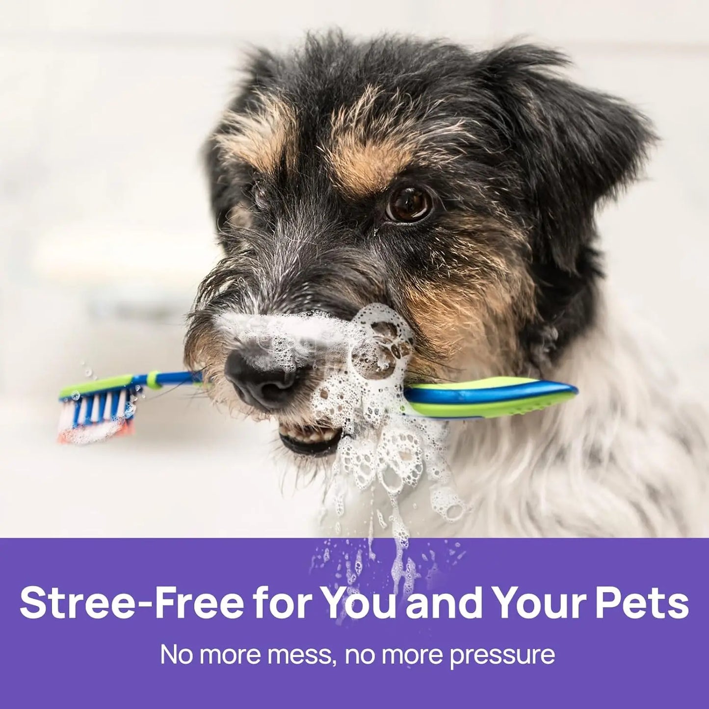 Vitrune™ 🍃No-Brushing Oral Care Spray for Dogs & Cats